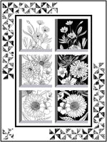 Monochrome Window