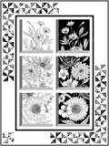 Monochrome Window
