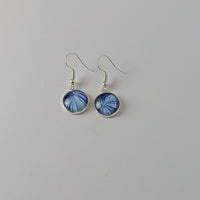 Blue and Silver Earrings