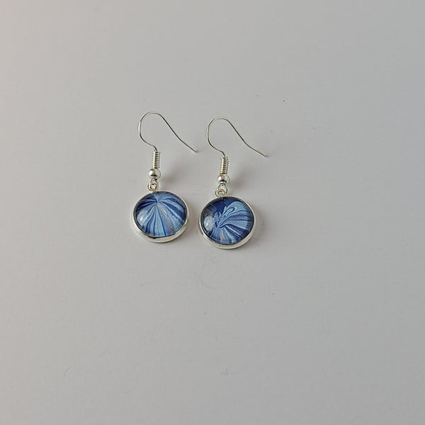 Blue and Silver Earrings